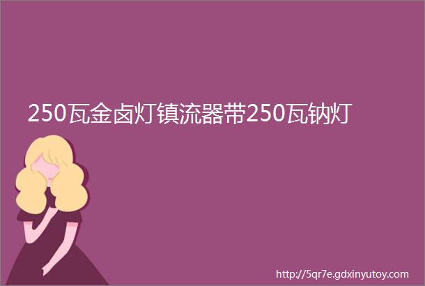 250瓦金卤灯镇流器带250瓦钠灯