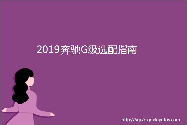 2019奔驰G级选配指南