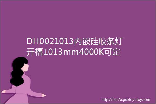 DH0021013内嵌硅胶条灯开槽1013mm4000K可定136灯8mm12V一灯一剪显指93