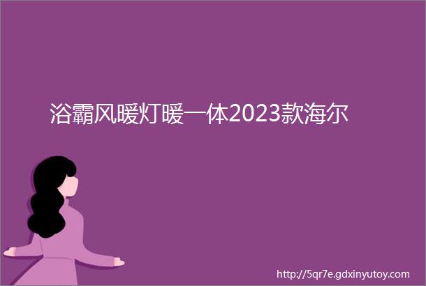 浴霸风暖灯暖一体2023款海尔