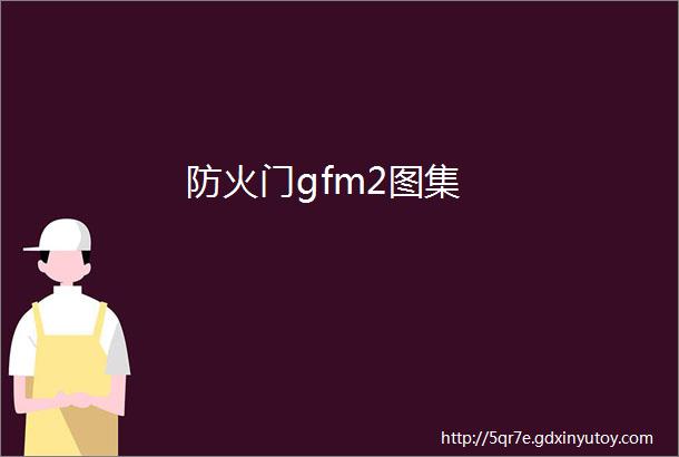 防火门gfm2图集