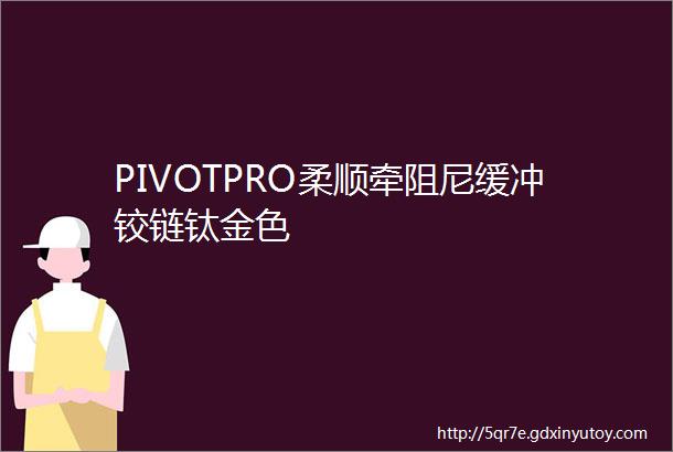 PIVOTPRO柔顺牵阻尼缓冲铰链钛金色