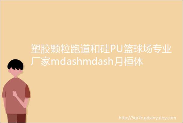 塑胶颗粒跑道和硅PU篮球场专业厂家mdashmdash月桓体育斯迈夫关注