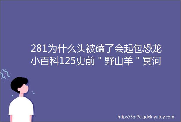 281为什么头被磕了会起包恐龙小百科125史前＂野山羊＂冥河龙