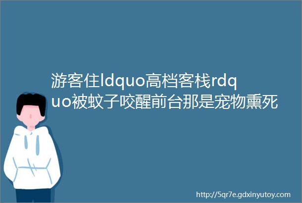 游客住ldquo高档客栈rdquo被蚊子咬醒前台那是宠物熏死一只赔一百