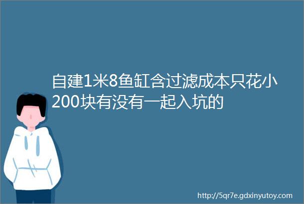 自建1米8鱼缸含过滤成本只花小200块有没有一起入坑的