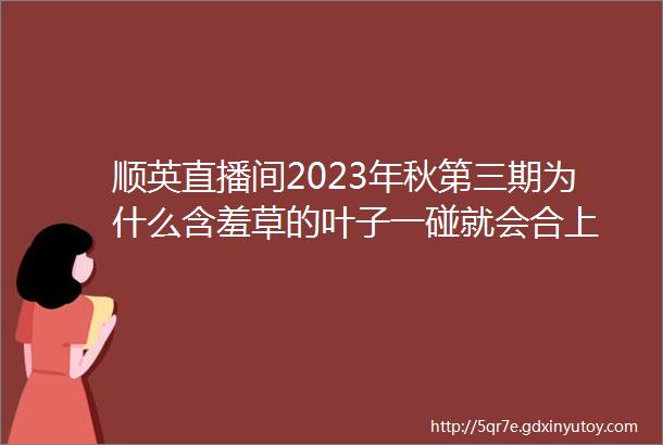 顺英直播间2023年秋第三期为什么含羞草的叶子一碰就会合上